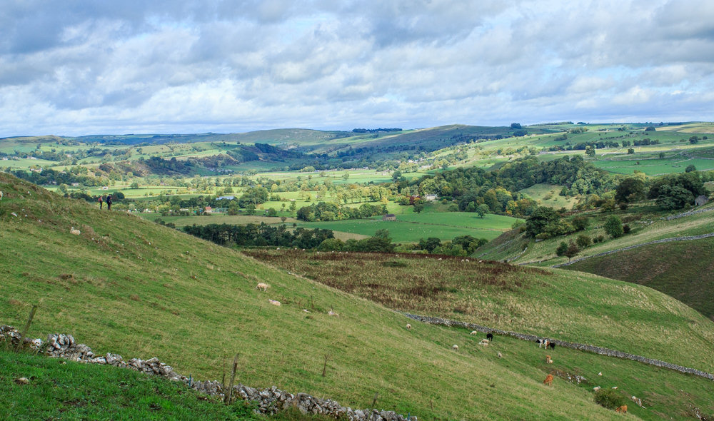 Carder Low
